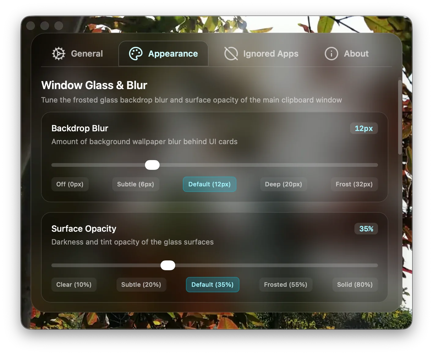 Clibo appearance customization settings with blur and opacity controls