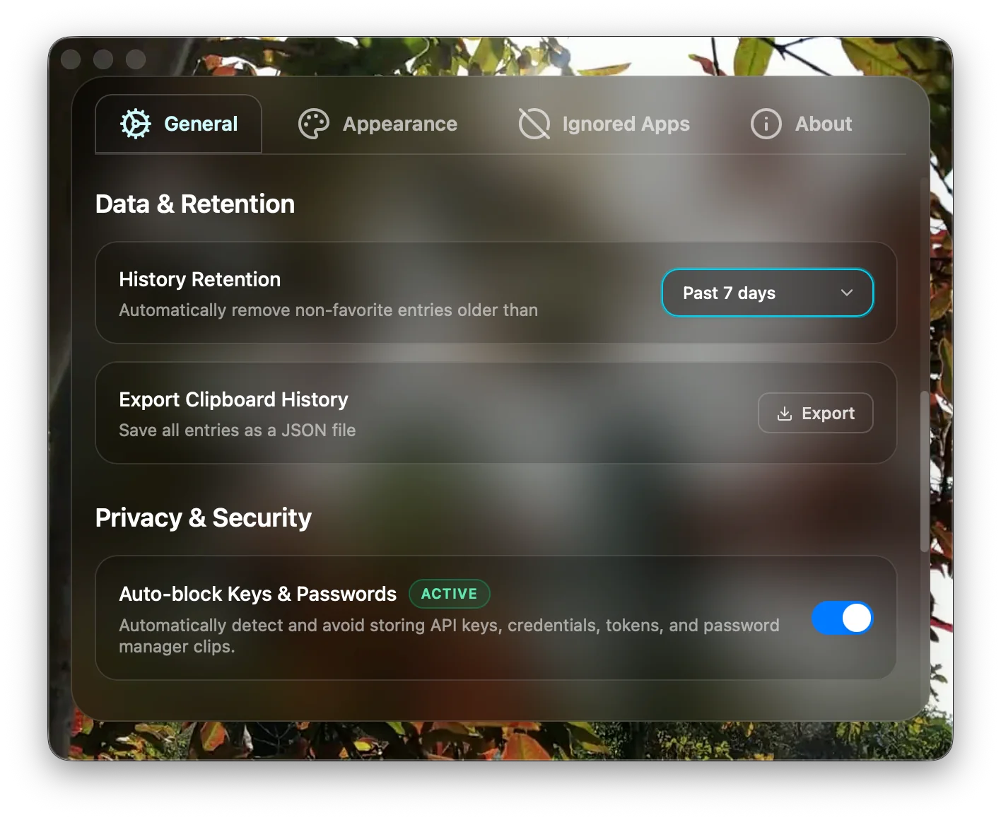 Clibo data retention and auto-block API keys and password clips settings with JSON export option
