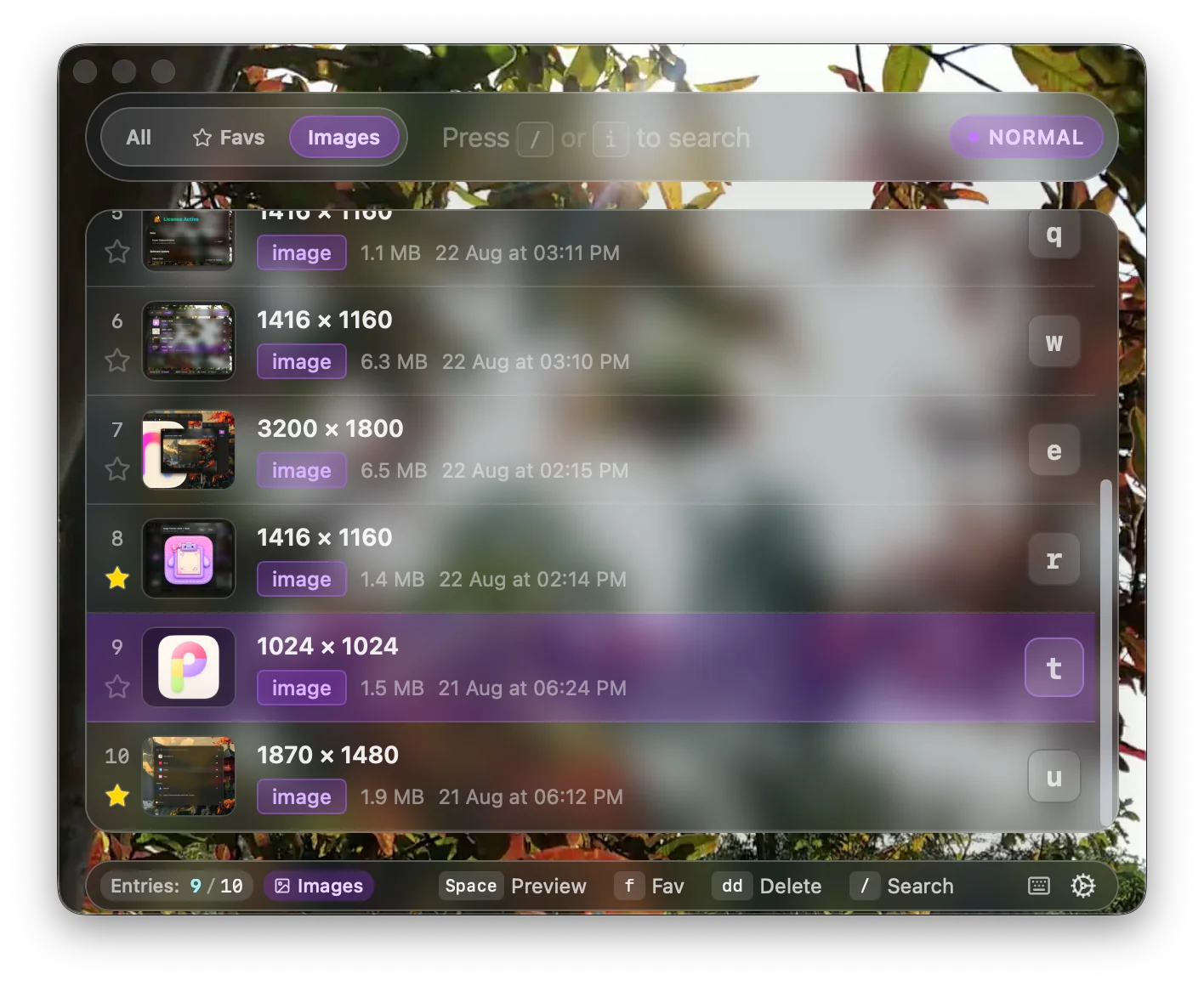 Clibo images clipboard tab with pixel resolutions and metadata
