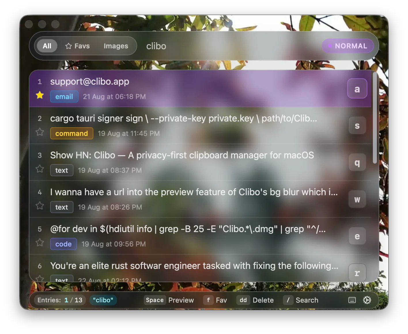 Clibo instant search and filtering interface across clipboard history