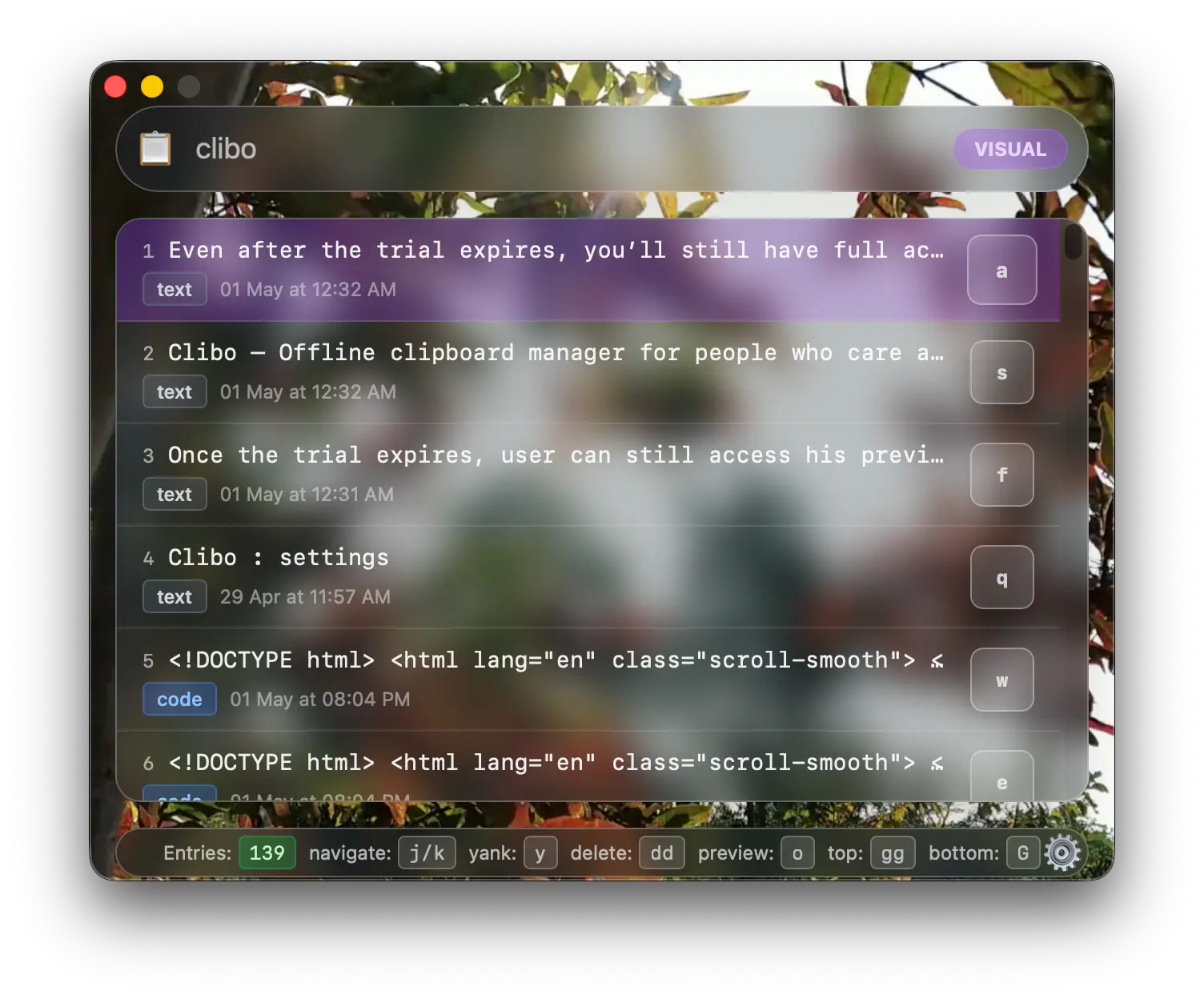 Clibo Search Interface