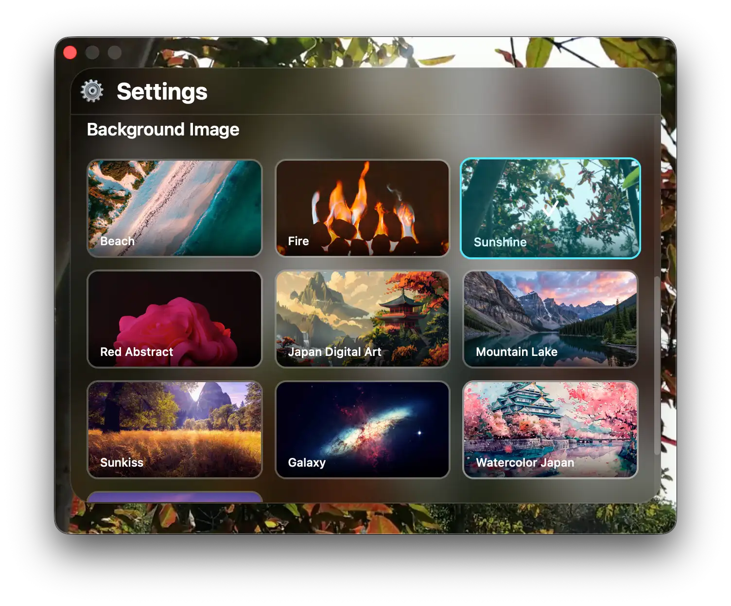 Clibo Settings Interface